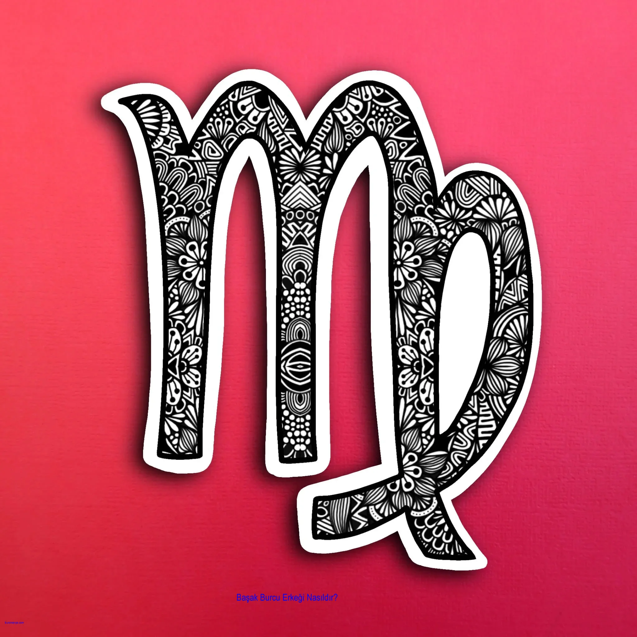 Başak Burcu Erkeği Nasıldır