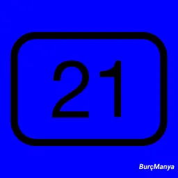 21 Ocakta Doğanların Burcu Ne