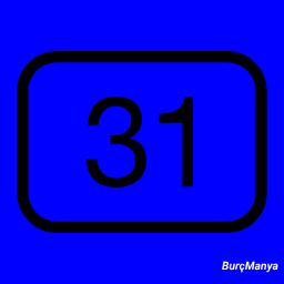 31 Ocakta Doğanların Burcu Ne