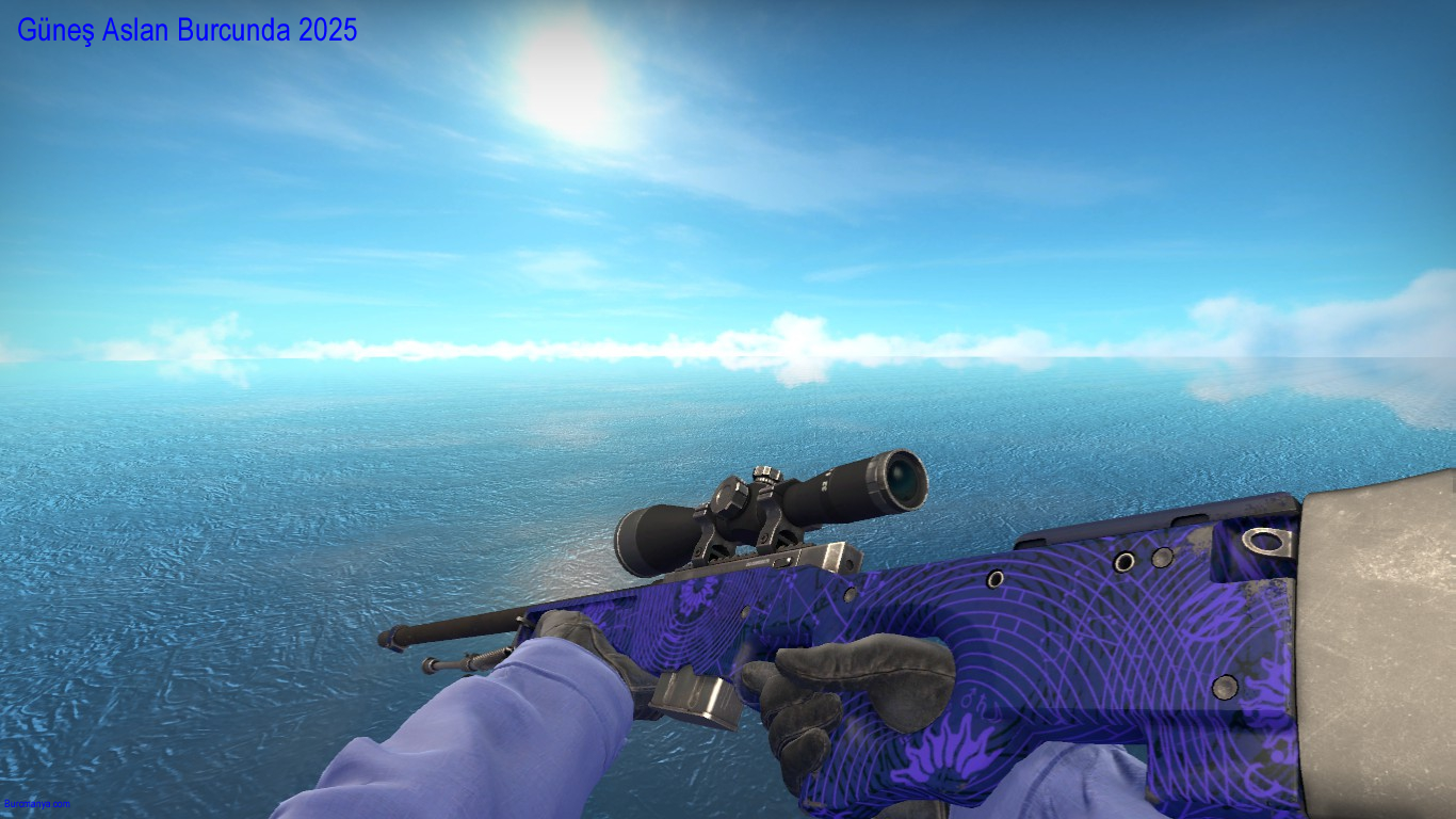 Güneş Aslan Burcunda 2025